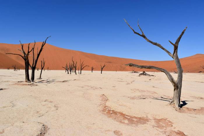 Voyage en groupe dans le désert du Sossusvlei en Namibie