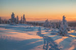 Aventure arctique en Laponie finlandaise