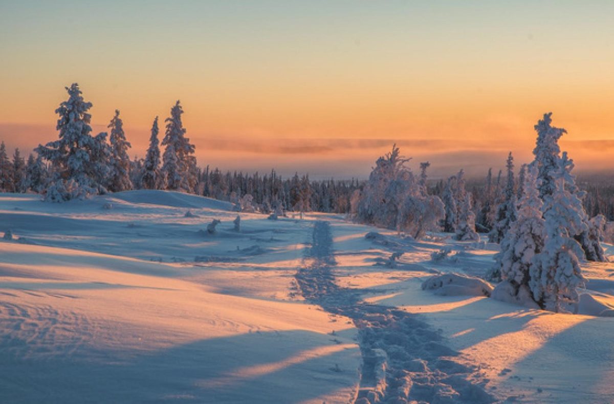 Voyage en Laponie finlandaise