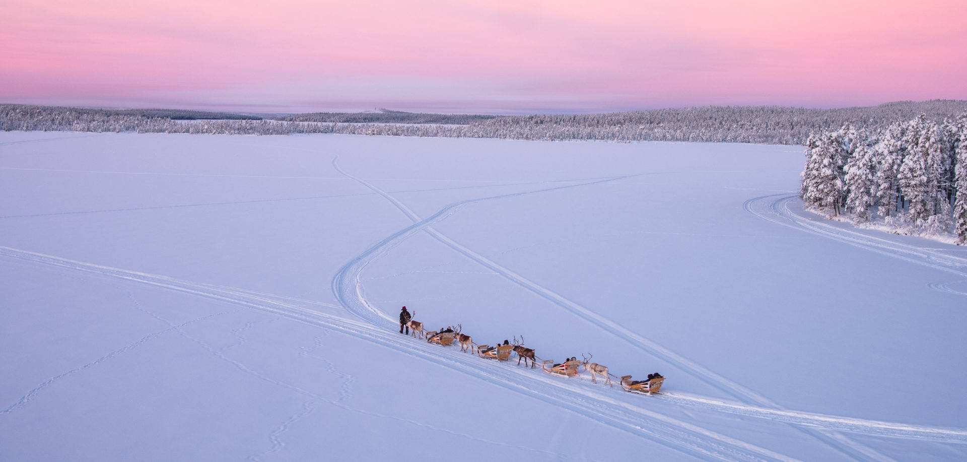 Excursion chiens de traineau Laponie finlandaise