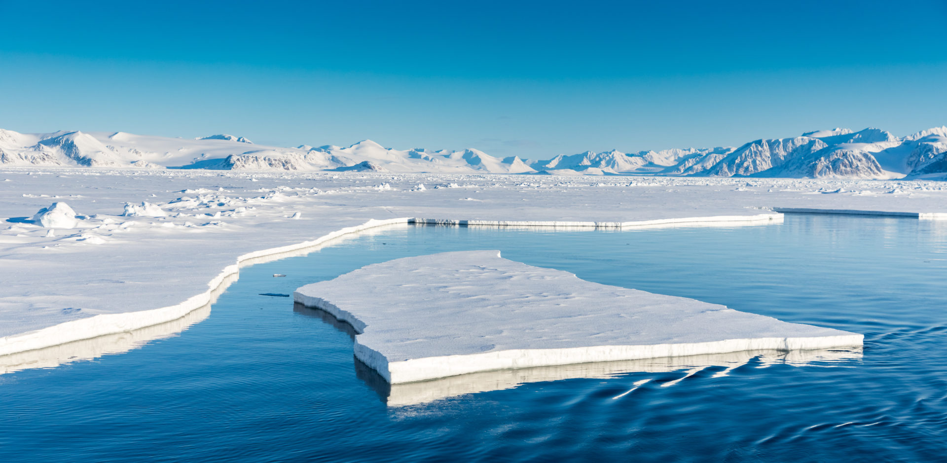 Paysages d'été arctiques à Svalbard