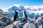 Croisière d’expédition en Antarctique