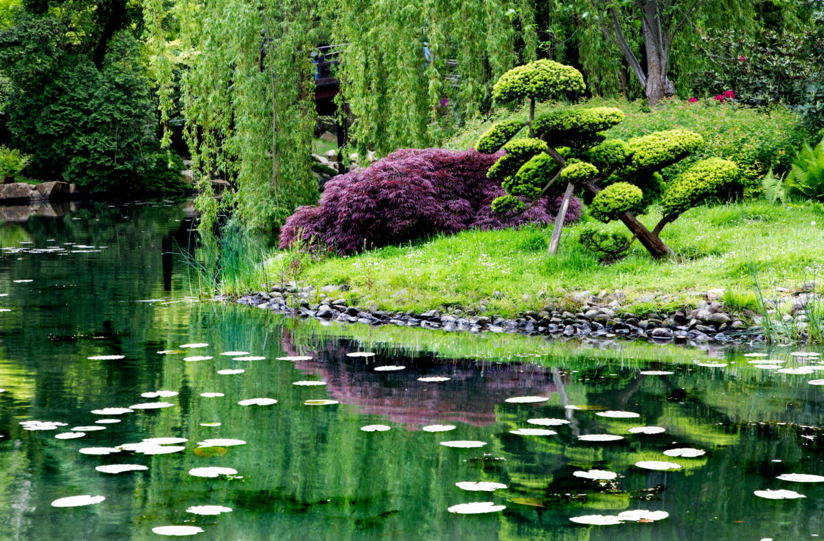 Jardin japonais, voyage Japon