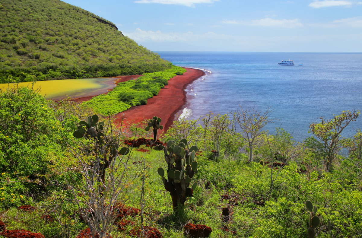 Plage rouge et lagon île de Rabida Parc national des Galapagos