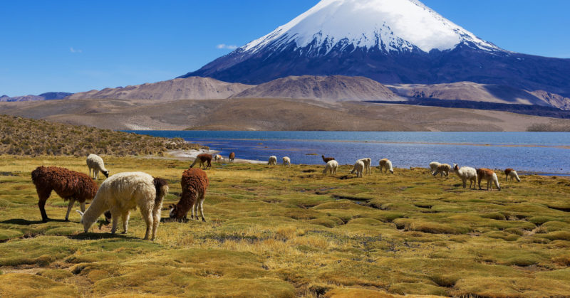 Voyage en groupe à San Pedro de Atacama Chili