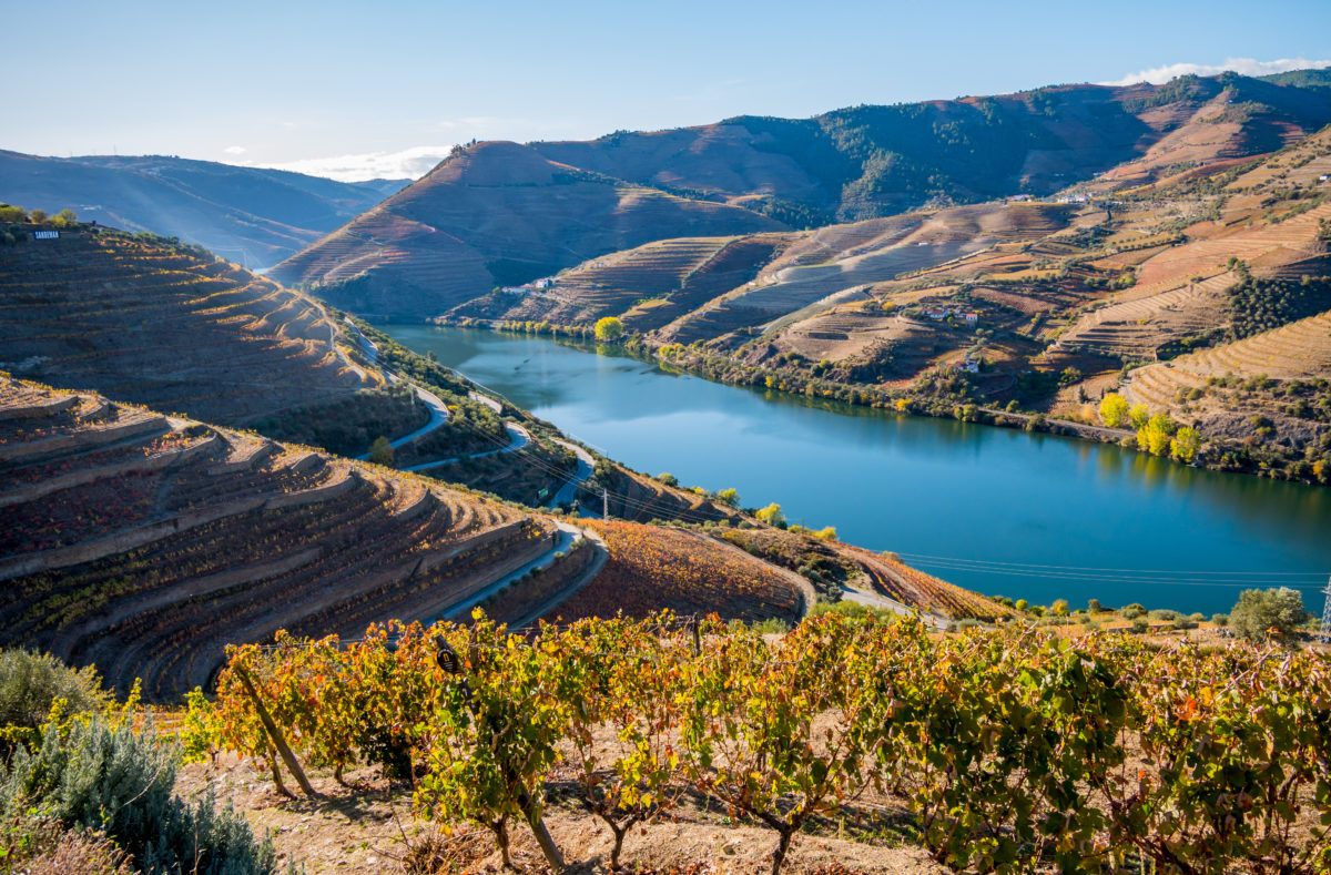 Croisière sur le Douro et découverte des vignes en terrasse