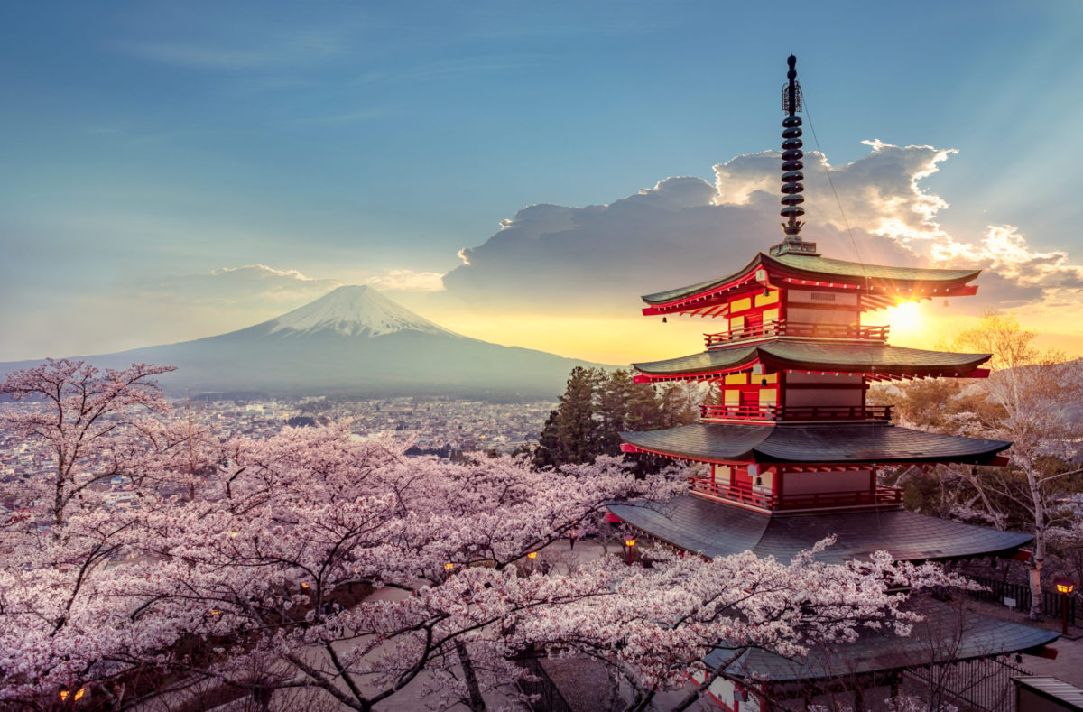 Sakura au printemps voyage en groupe au Japon