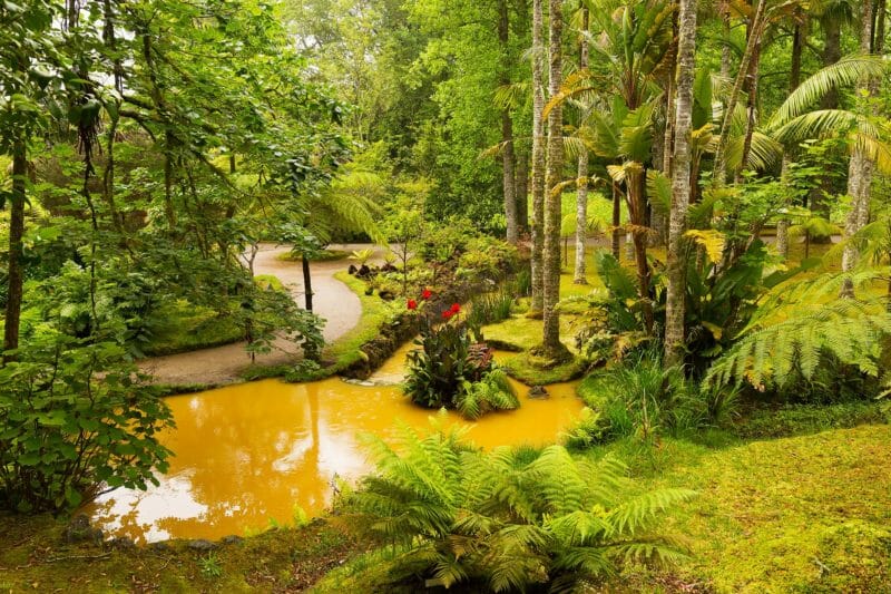 Voyage en groupe aux Açores et visiter le parc de Terra Nostra
