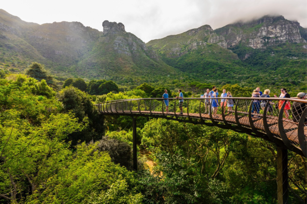 Jardin botanique de Kirstenbosch au Cap, Afrique du Sud, voyage en Afrique australe