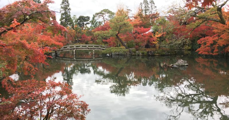 Voyage en groupe organisé au Japon en automne