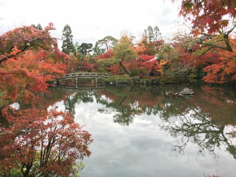 Voyage en groupe organisé au Japon en automne