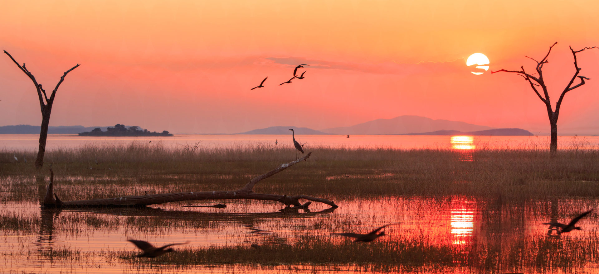 Coucher de soleil sur le lac Kariba et ses arbres séchés, voyage en Afrique australe