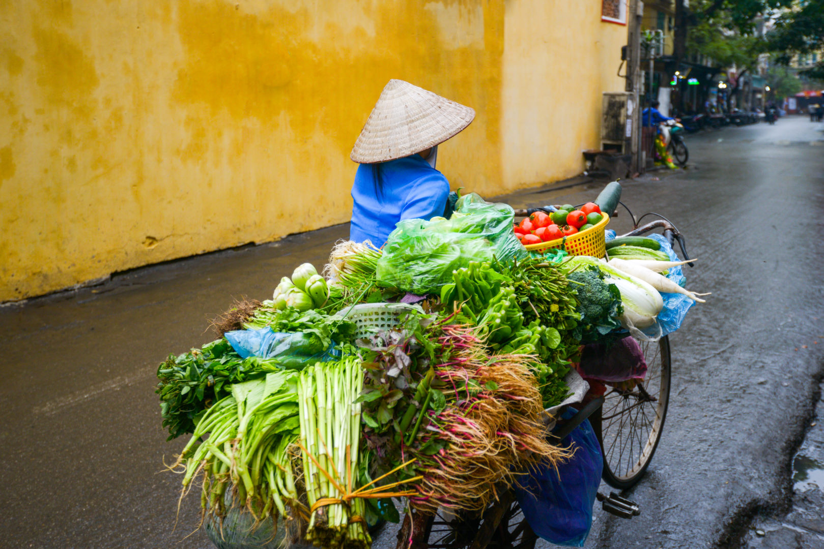 Vietnamienne dans les rues de Hanoi, Vietnam