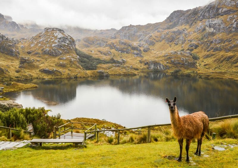 Visiter en groupe le Parc national de Cajas Equateur