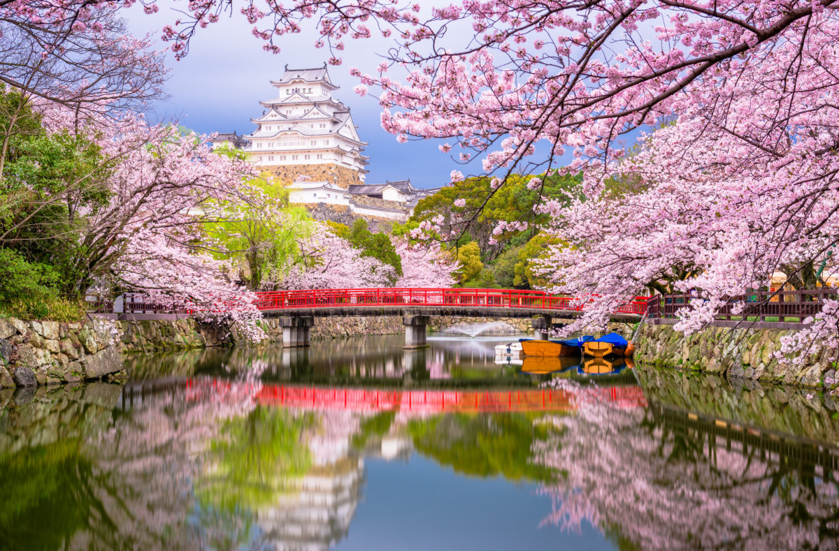 Himeji, au Japon, au château de Himeji, près des douves au printemps