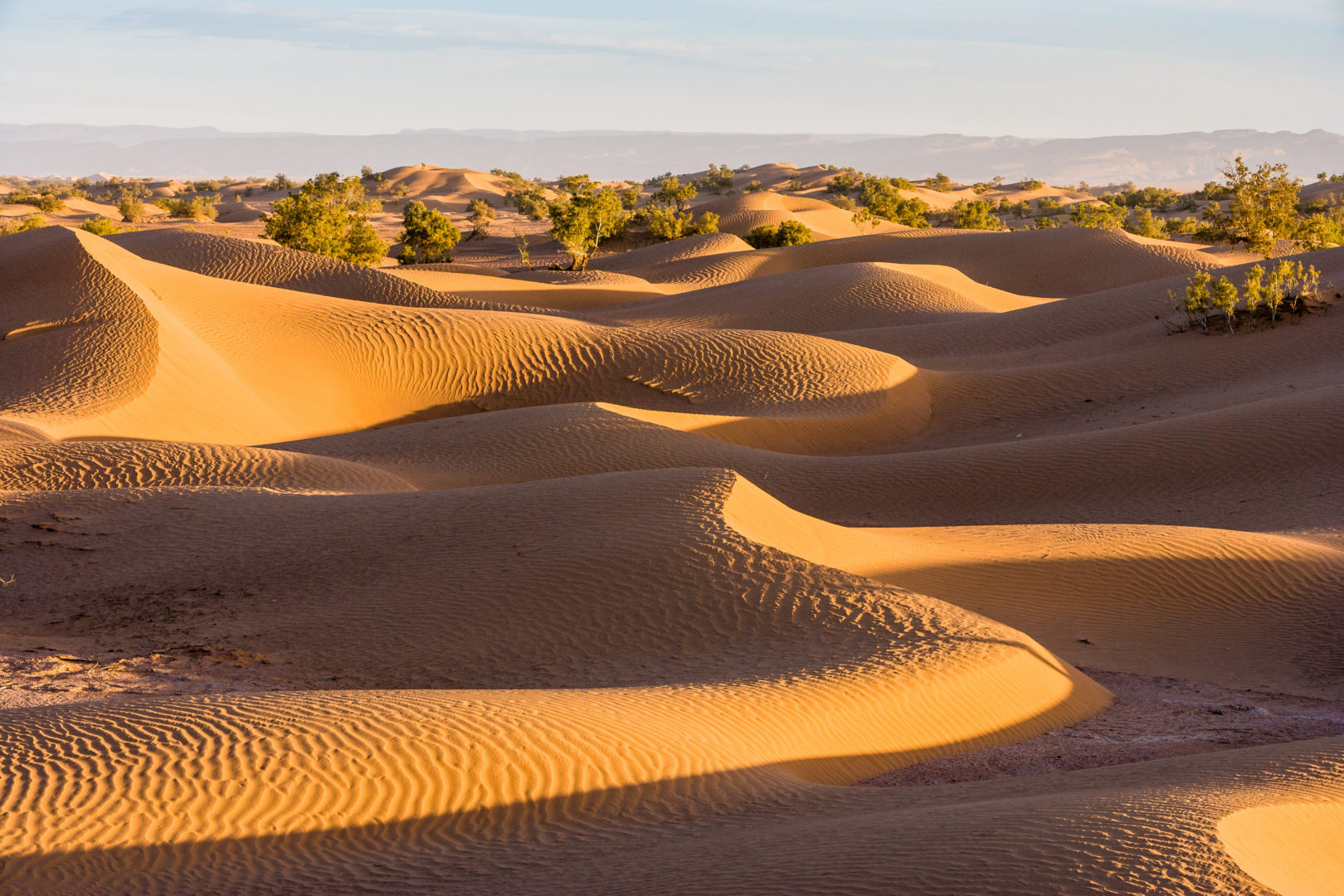 Lever de soleil sur les dunes du Sahara à Mhamid au Maroc