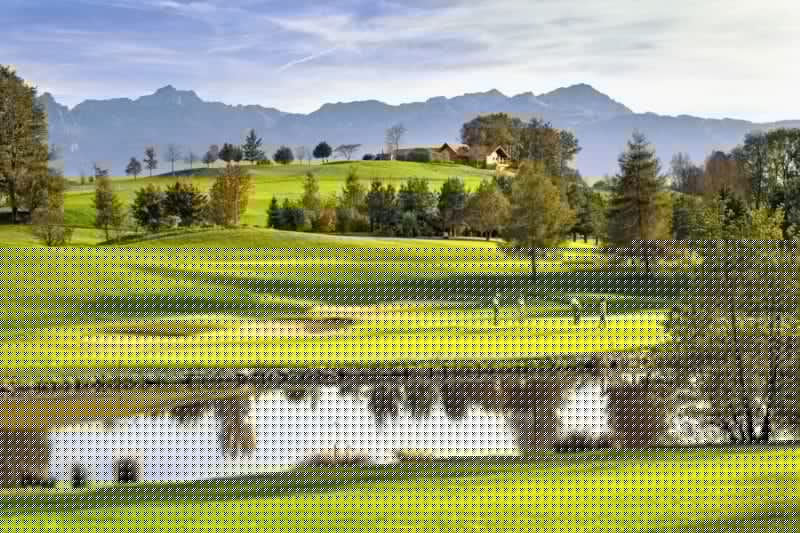 Golf dans le Lavaux
