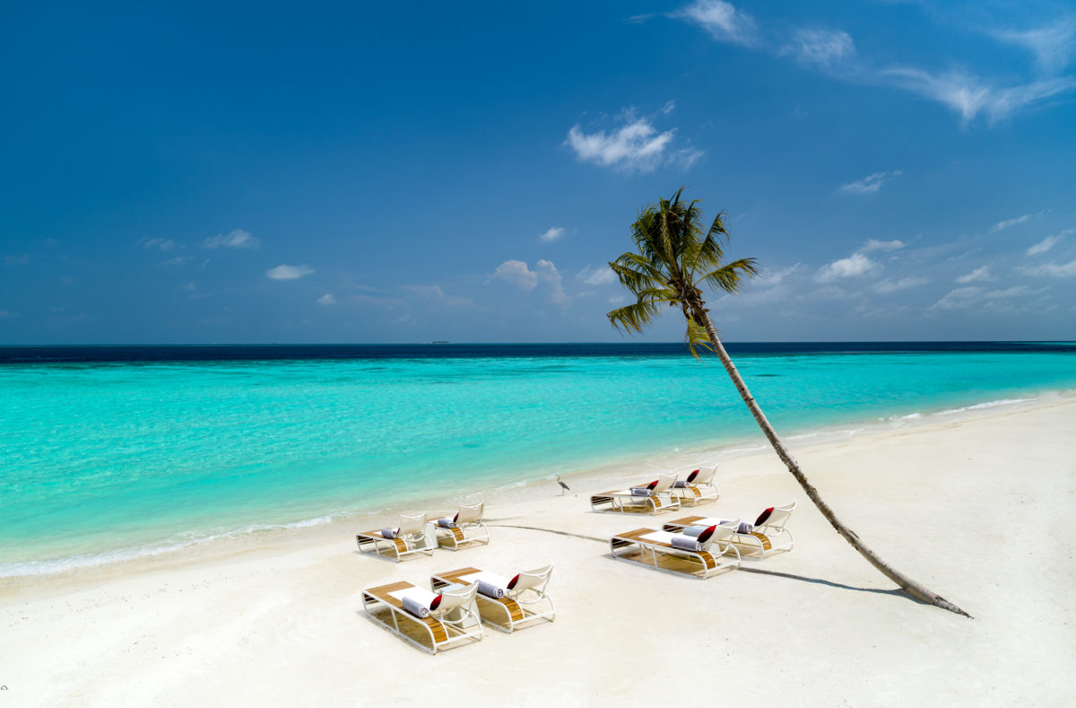 Plage et palmier au Jumeirah Maldives Olhahali Island