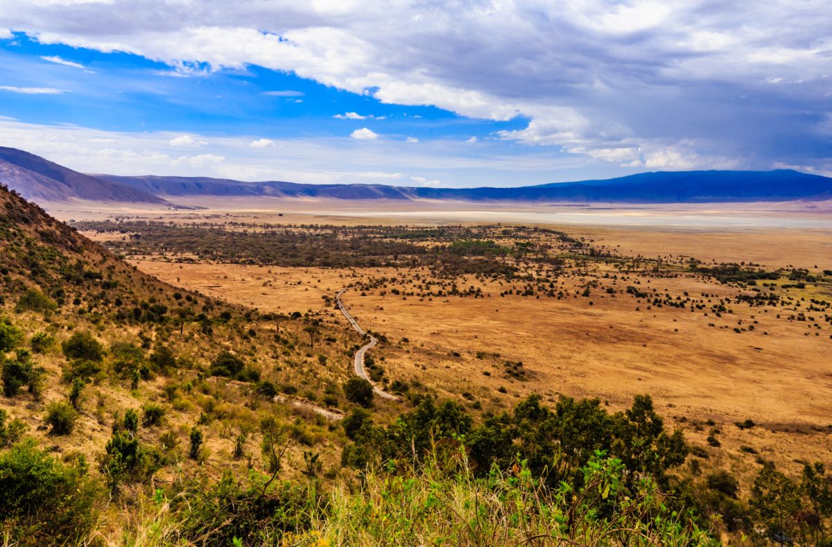 Découvrir le cratère ngorongoro, voyage en Tanzanie