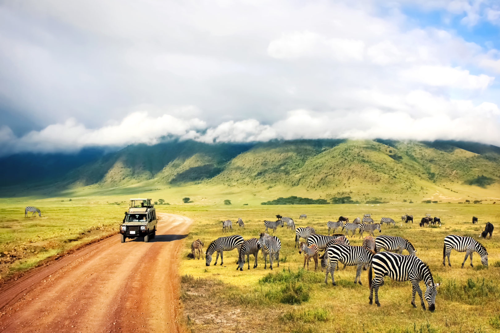 Safari dans le parc national du cratère de Ngorongoro, découverte des zèbres, voyage en Tanzanie