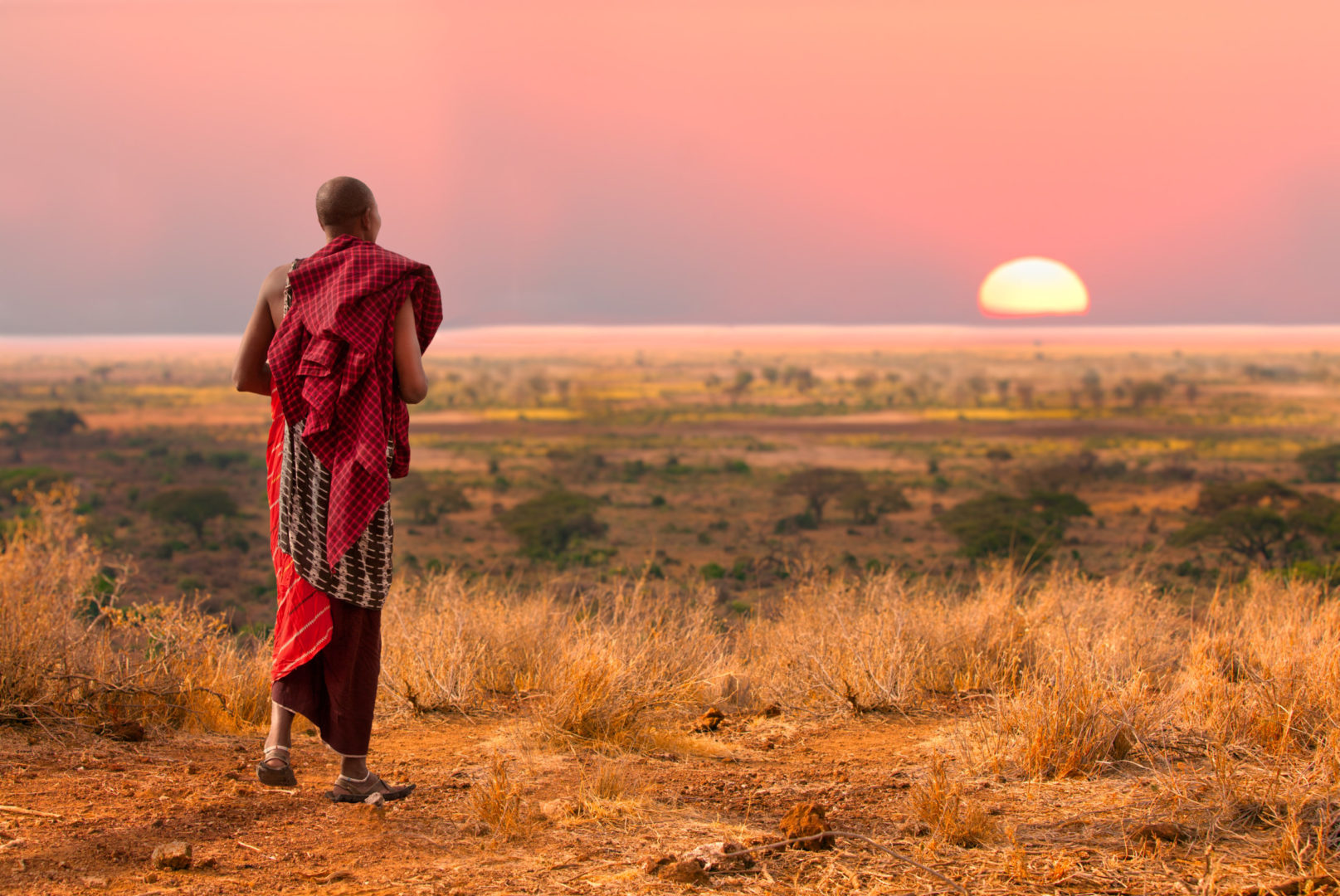 Guerrier Masaï face au coucher du soleil au Serengeti, Tanzanie