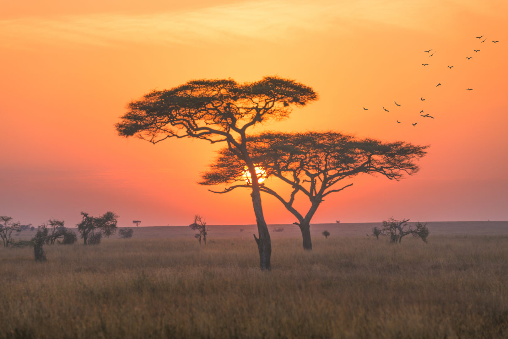 Lever de soleil au Parc national du Serengeti, voyage en Tanzanie