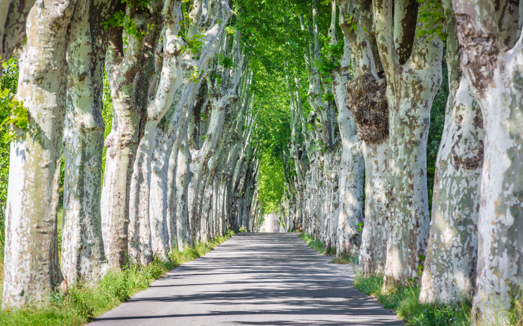 Route Manosque Provence France