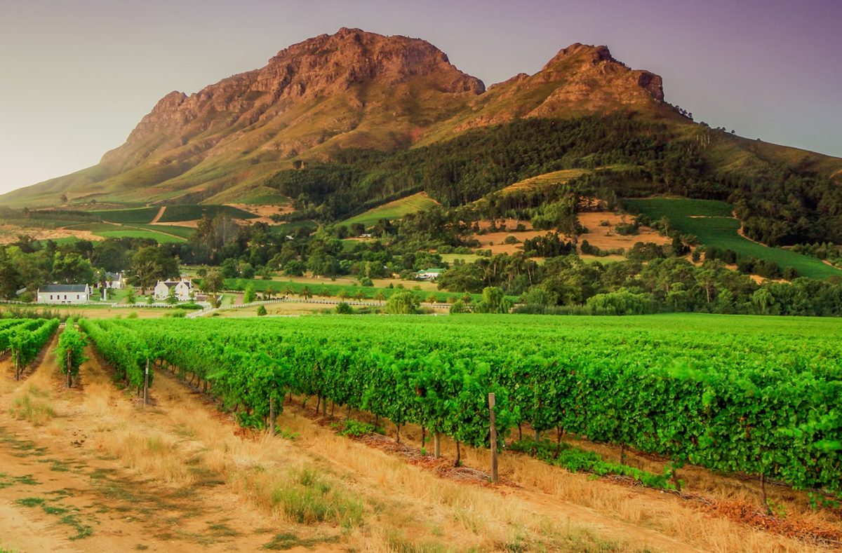 Stellenbosch Afrique du Sud
