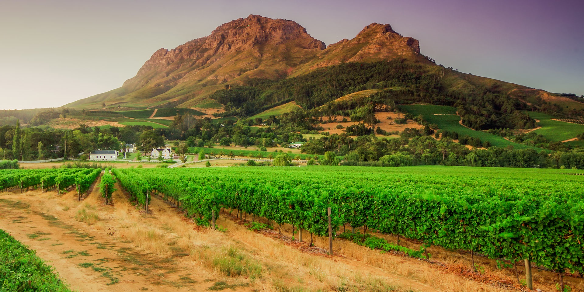 Stellenbosch, voyage en Afrique du Sud