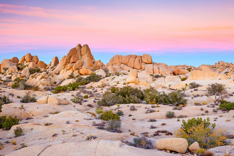 Joshua Tree National Park, Désert de Mojave, Californie