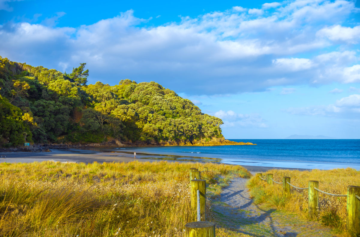 Plage de Waihi, péninsule de Coromandel, île Nord de la Nouvelle-Zélande