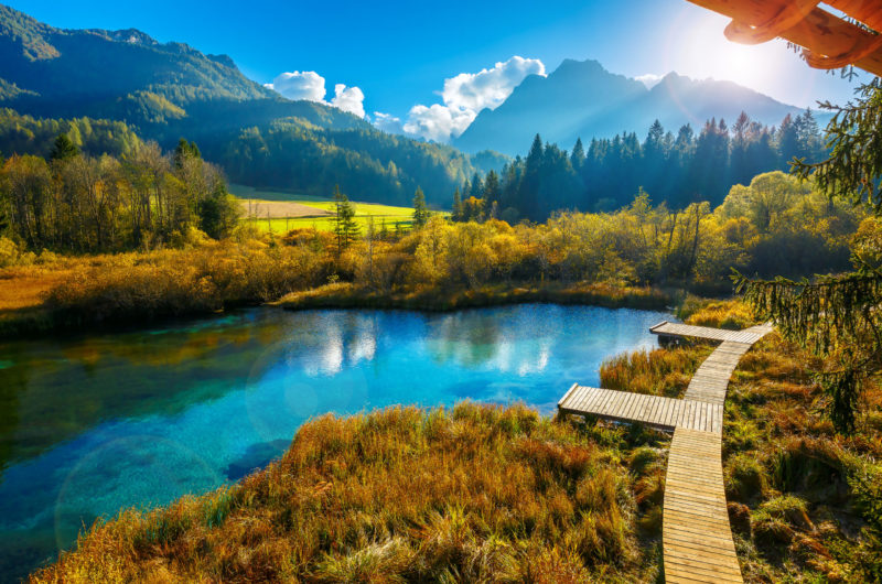 Lac de Zelenci en automne, Granjska Gora, Slovénie