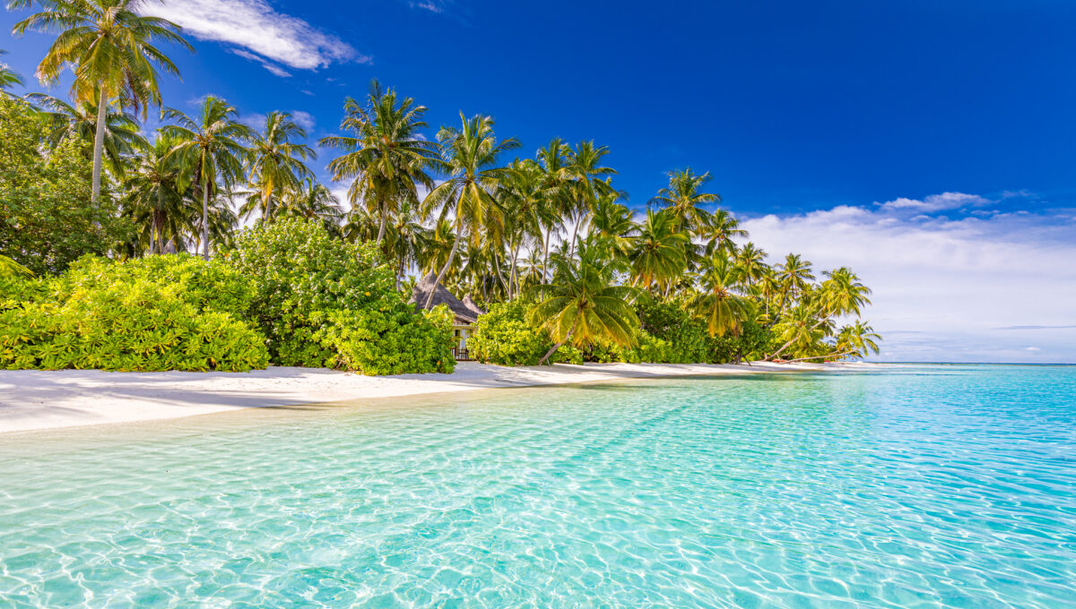 Plage de rêve lors de vacances en Polynésie