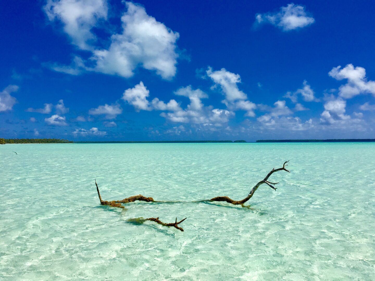 Tahiti, Bora Bora et Tetiaroa