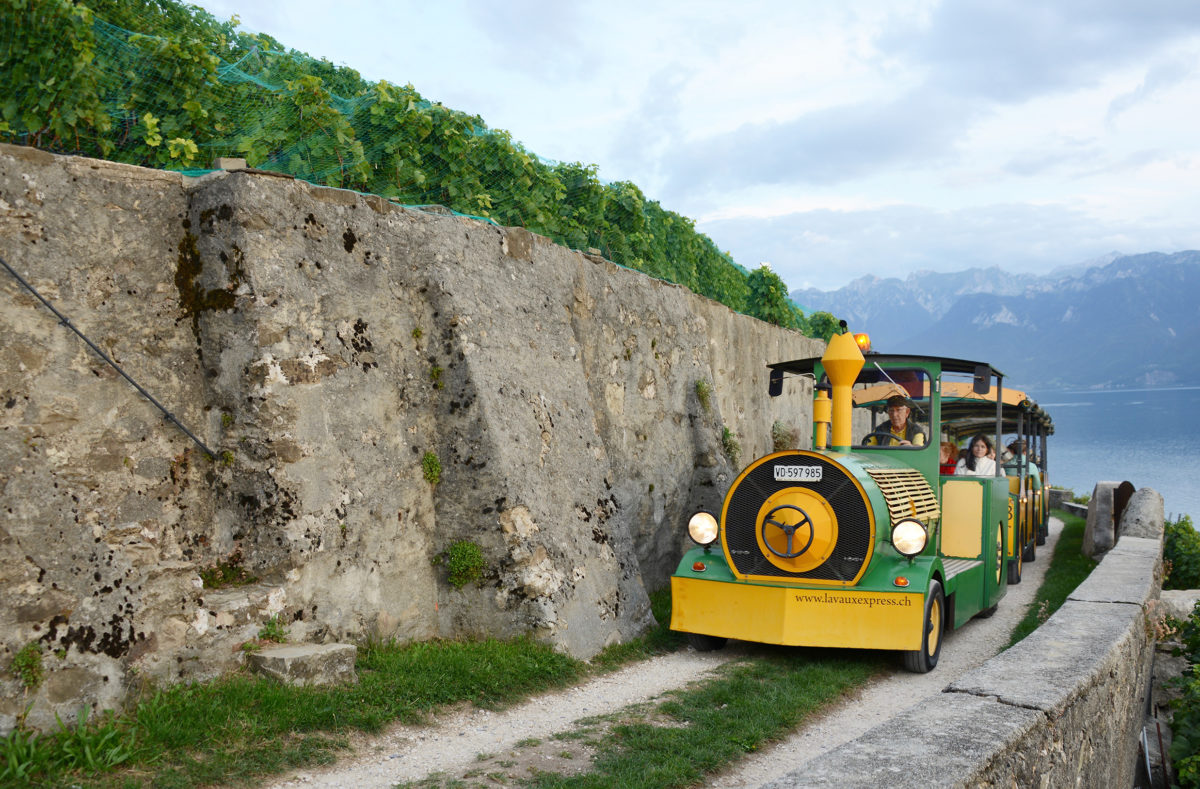 Balade en petit train des vignes à Lavaux