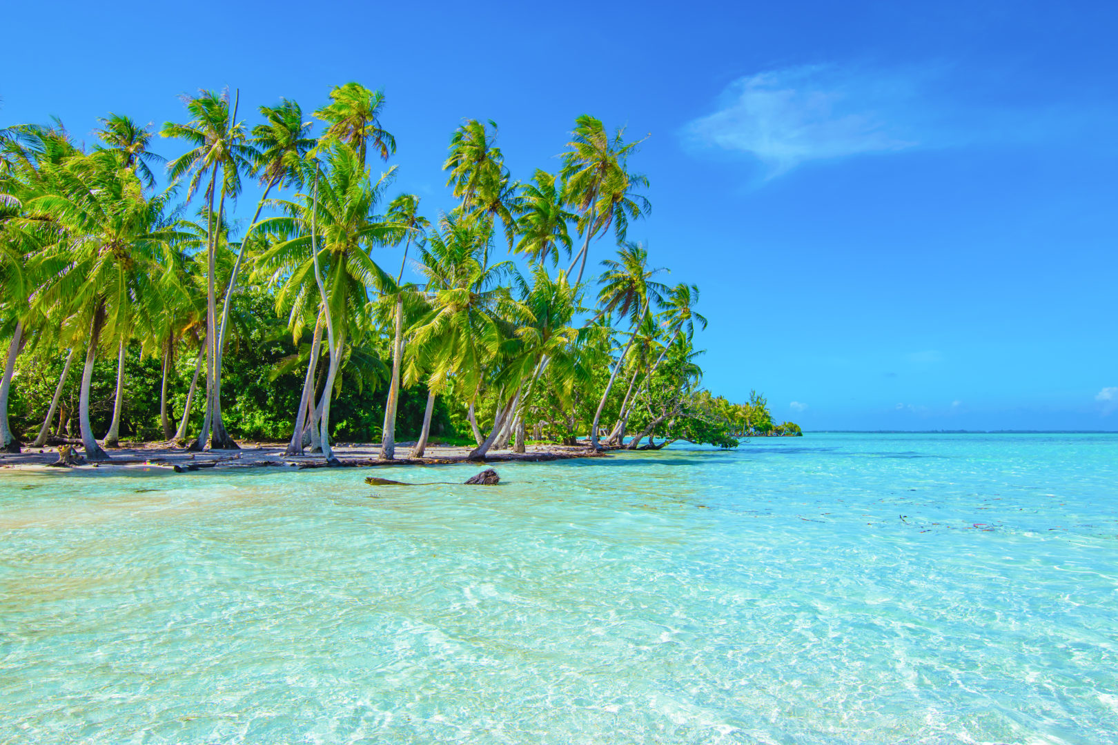 Lagon de Tahaa en Polynésie