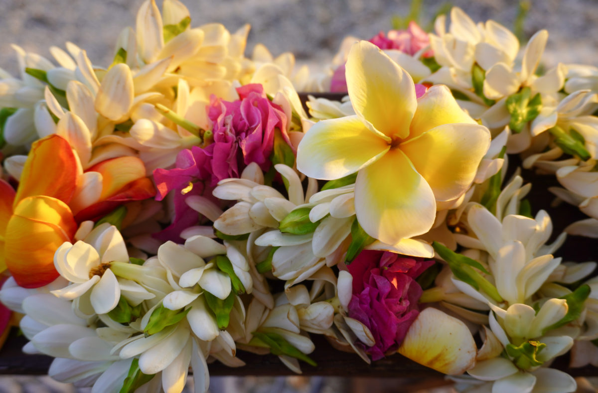 Fleurs exotiques de la Polynésie