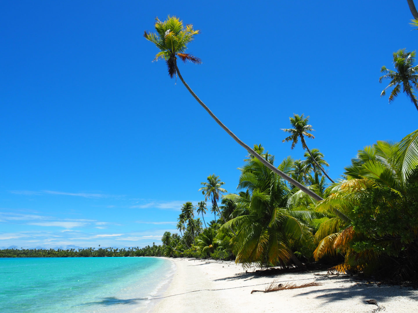 Plage de Fakarava en Polynésie