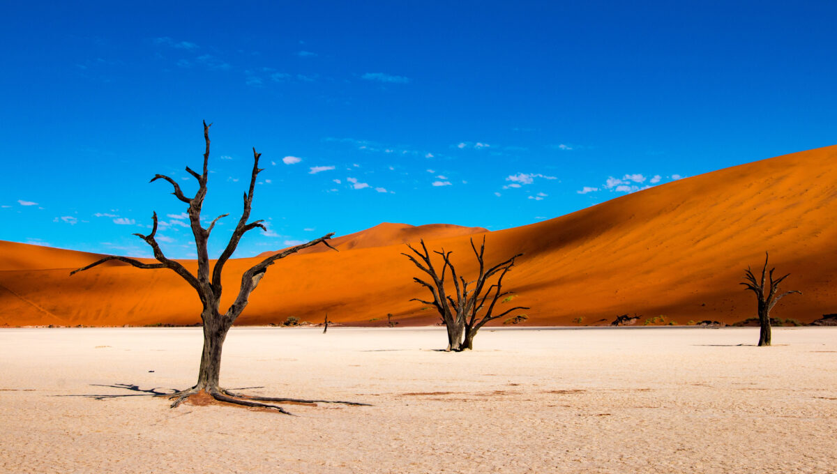 Road trip à moto en Namibie