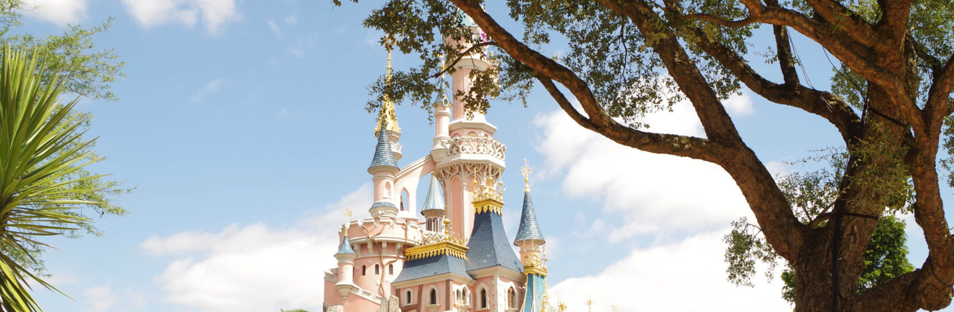 Château de Disneyland® Paris, parc d'attraction en France