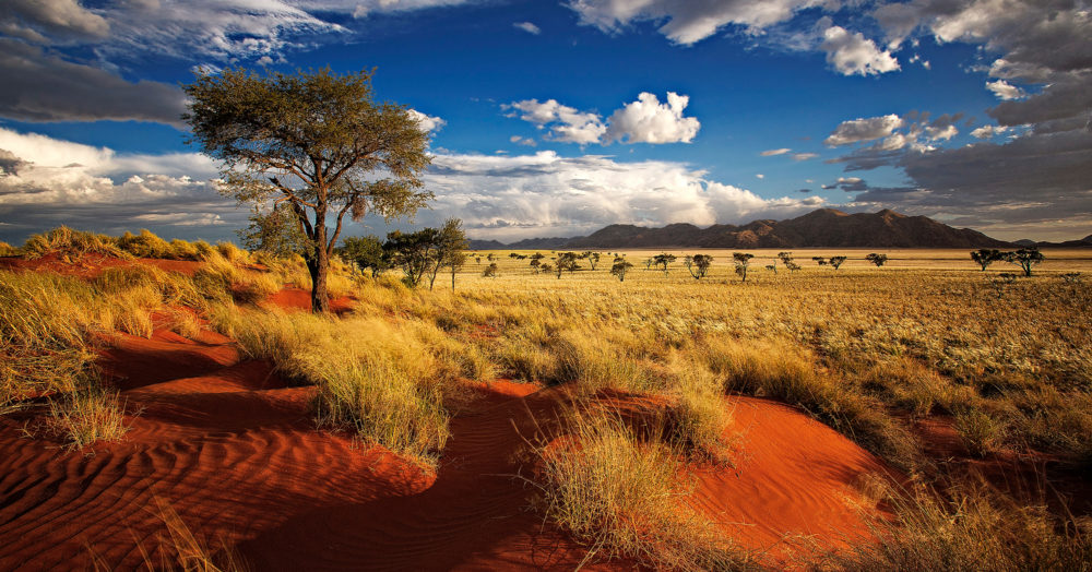 Terre rouge de Namibie