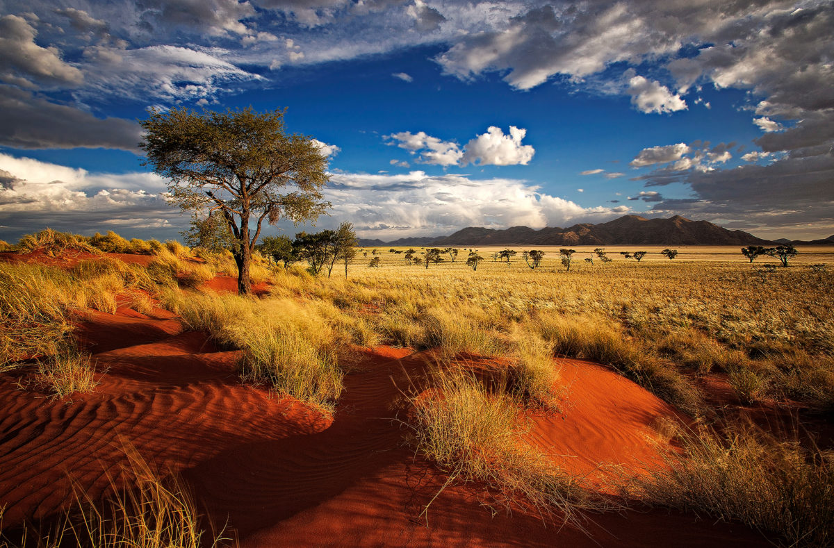 Terre rouge de Namibie