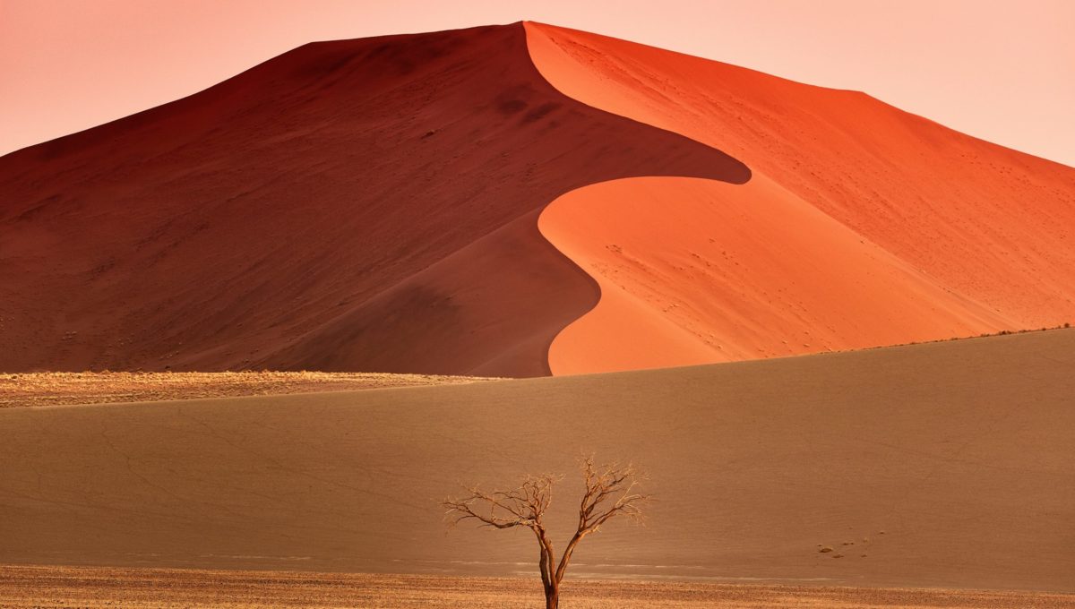 Dunes du désert de Namibie au levé de soleil