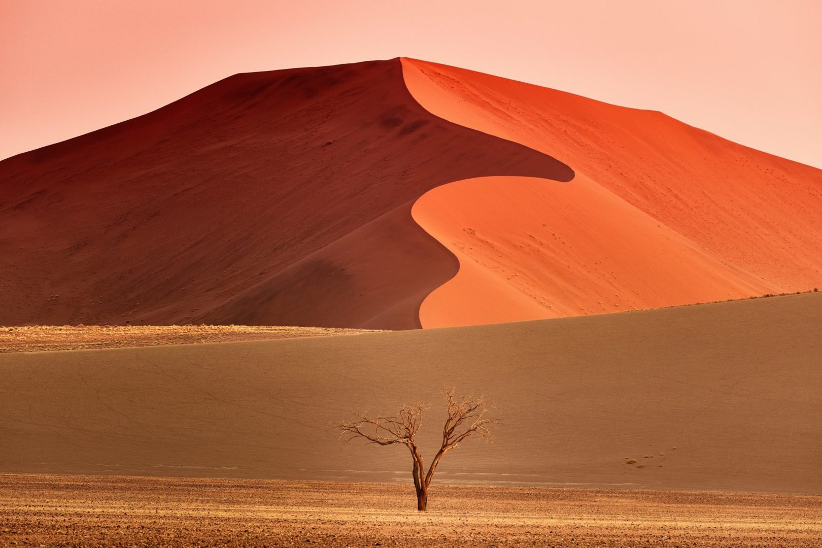 Dunes du désert de Namibie au levé de soleil