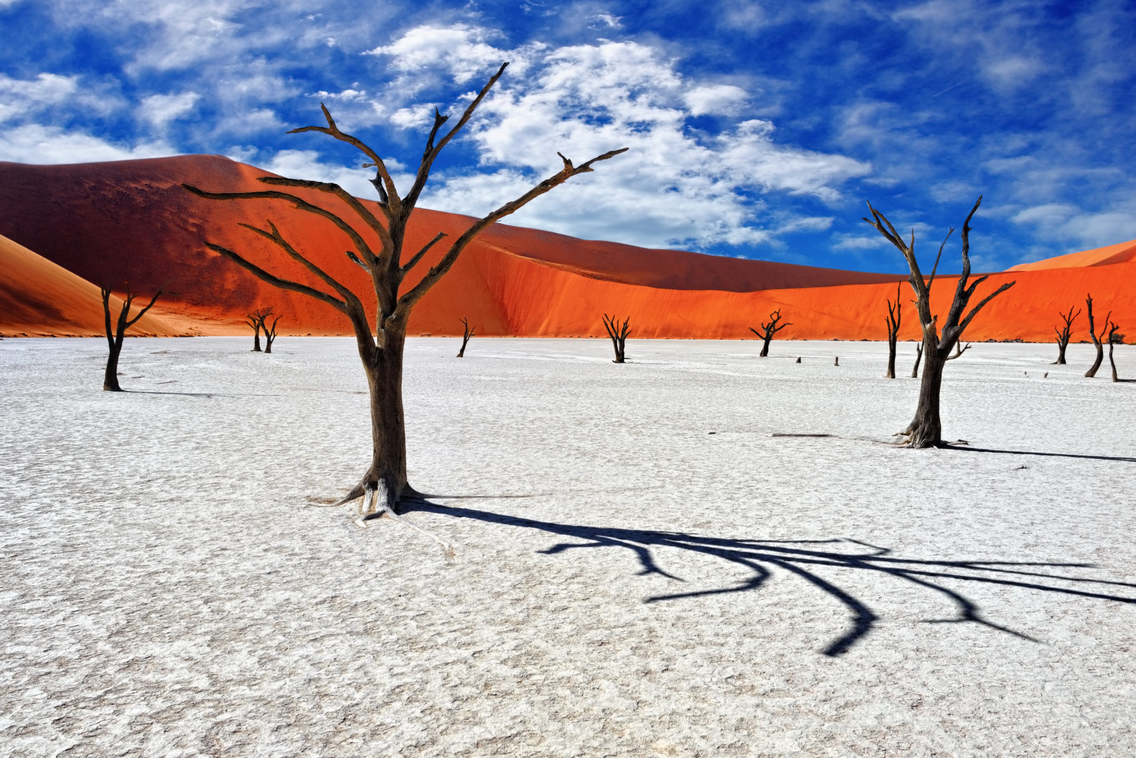 Camelthorn morts à Deadvlei, Sossusvlei. Parc national de Namib-Naukluft, voyage en groupe en Namibie.