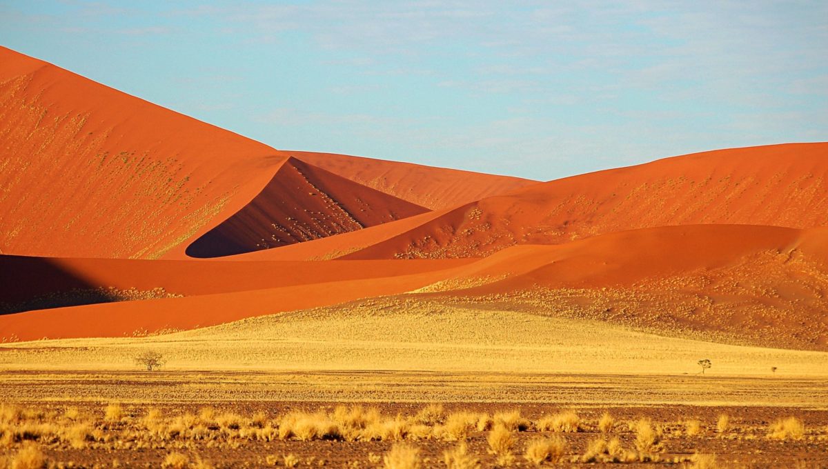 Désert Namib, voyage en groupe en Namibie