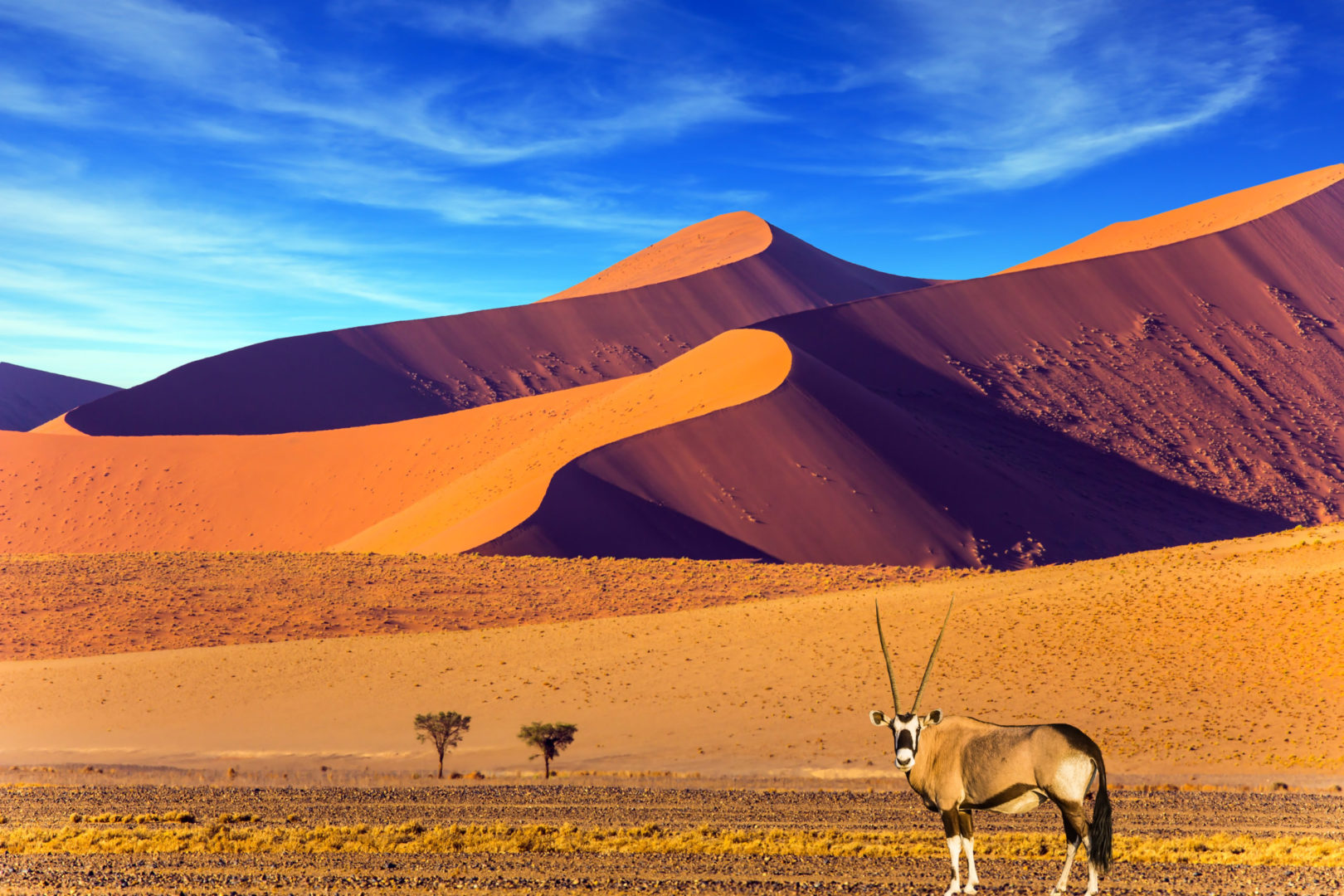 Désert du Namib le plus ancien du monde, Namibie