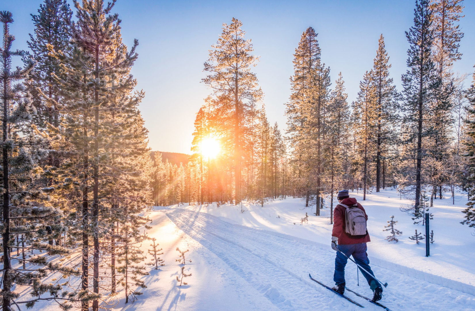 Ski de fond en Laponie finlandaise