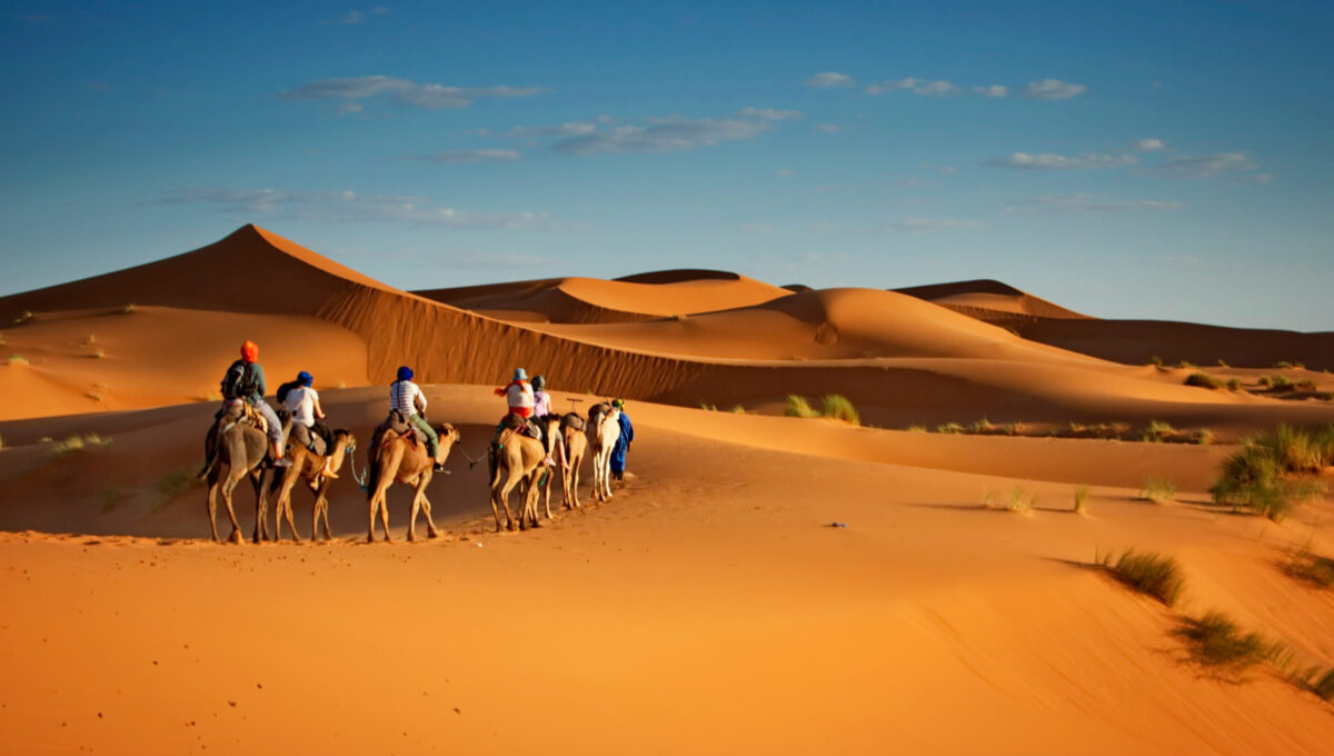 Excursion en dromadaires dans le désert, voyage à Oman