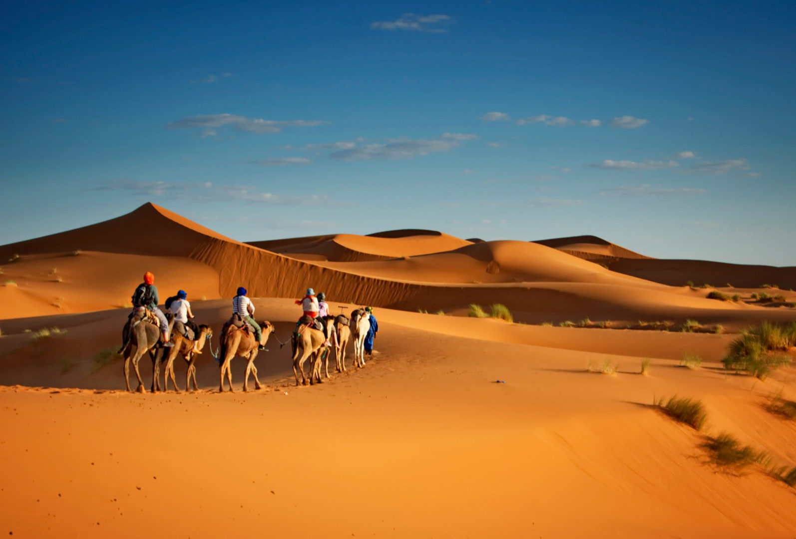 Excursion en dromadaires dans le désert, voyage à Oman